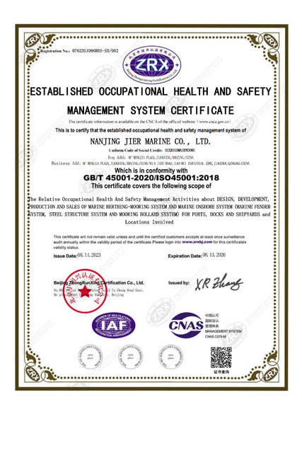 ISO 45001 Sistema de gestión de seguridad y salud ocupacional establecido Certificado_01-800x1200